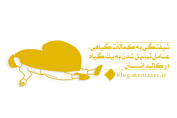 گیاه در کالبد انسان کیست، حد و مرز کمالات گیاهی تا کجاست؟