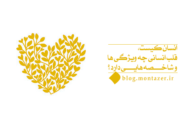 انسان کیست، قلب انسانی چه ویژگی ها و شاخصه هایی دارد؟